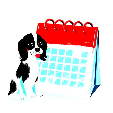 2 - Schedule Initial Cleanup